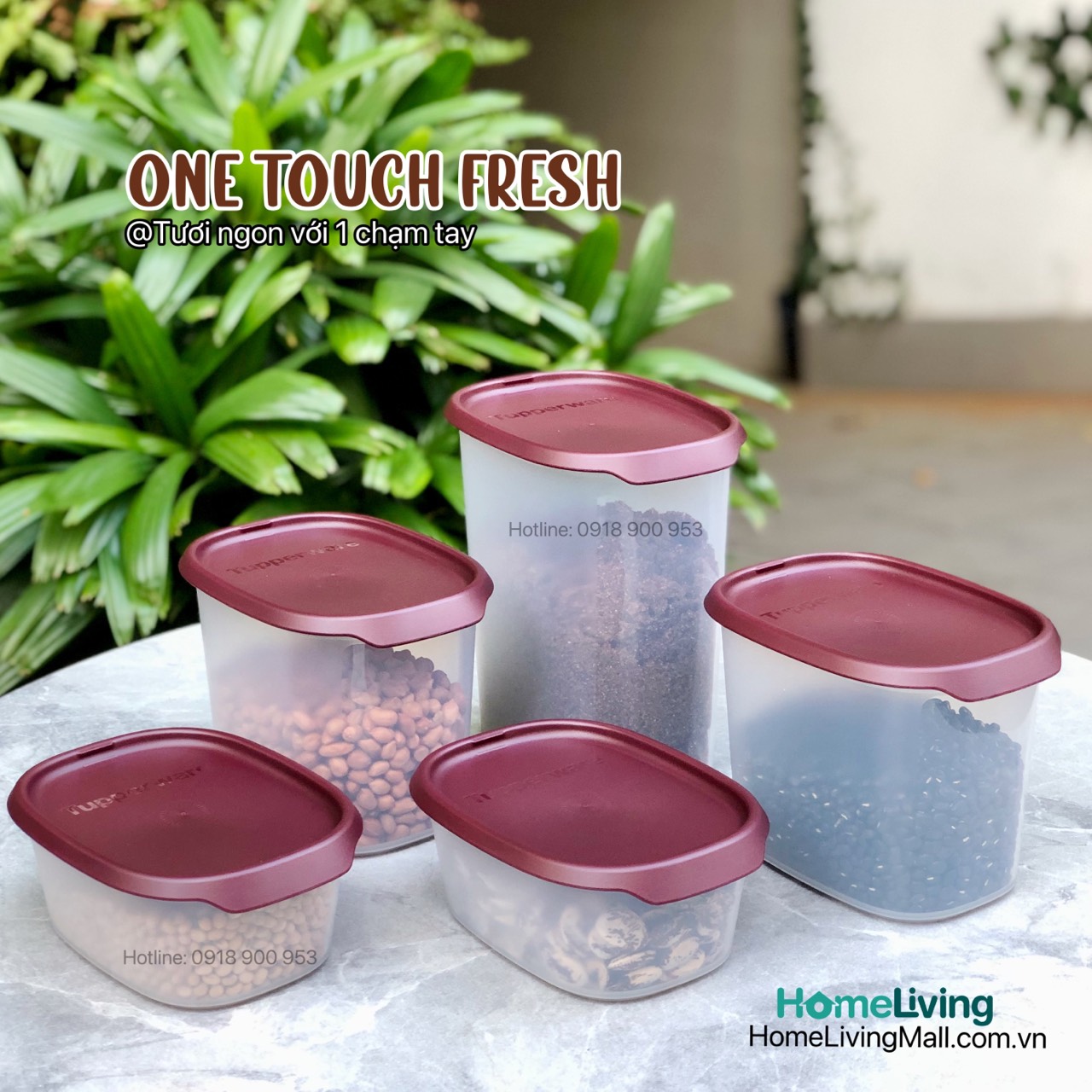 Bộ Trữ Khô &amp; Mát Tupperware One Touch Fresh Set 5