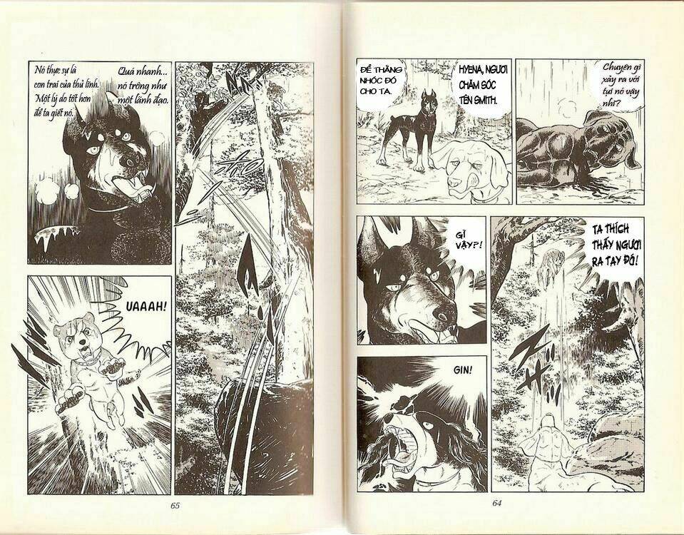 chú chó có nghĩa - ginga nagareboshi gin chapter 14 11