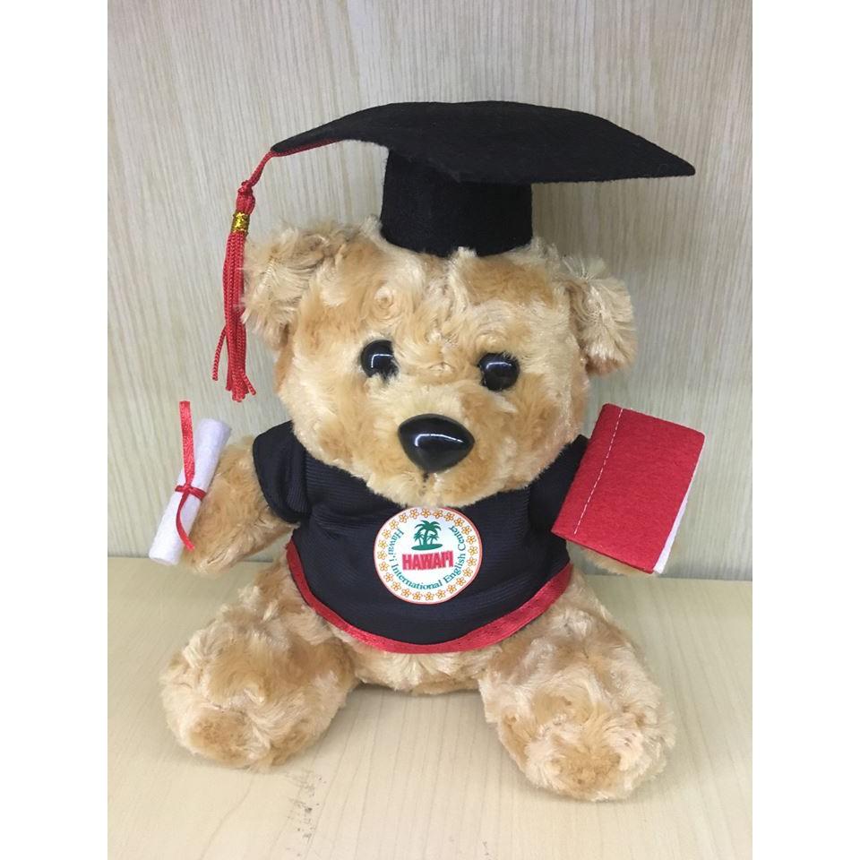 Gấu bông tốt nghiệp lông mịn 20cm giá rẻ