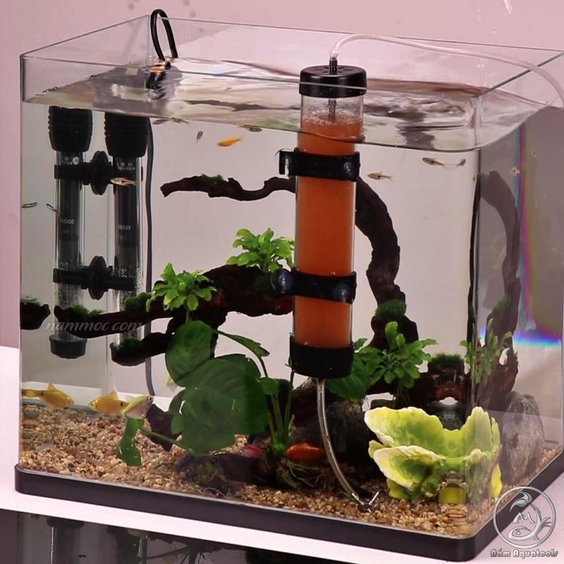 Lồng Ấp / Lò Ấp Trứng Artemia / Incubator for Brine Shrimp