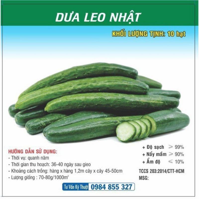 Hạt Giống Dưa Leo Nhật