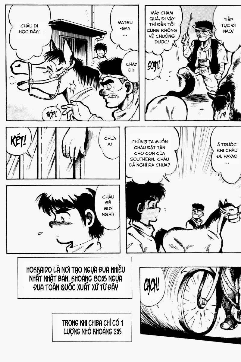 kaze no sylphid - phong mã silphid chapter 1 10