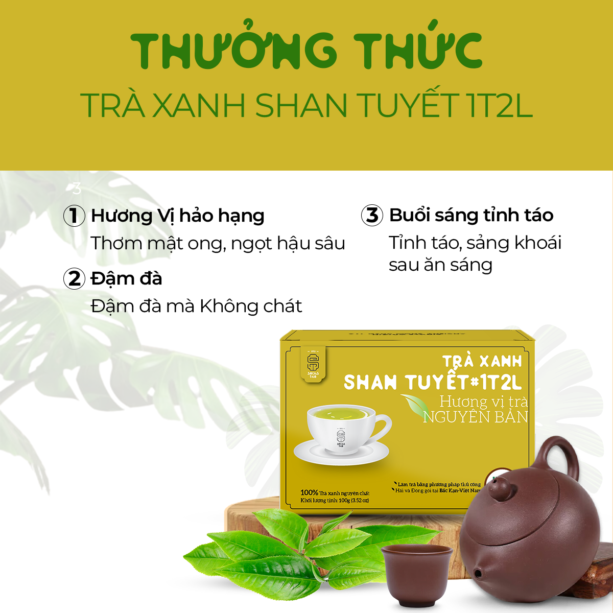 Trà Xanh Shan Tuyết Cổ thụ Loại Hảo hạng | 100% chứng nhận hữu cơ USDA Organic Hoa Kỳ | Loại Búp và Nguyên Lá | Thơm mật ong, Đậm vị, ngọt hậu sâu 100g