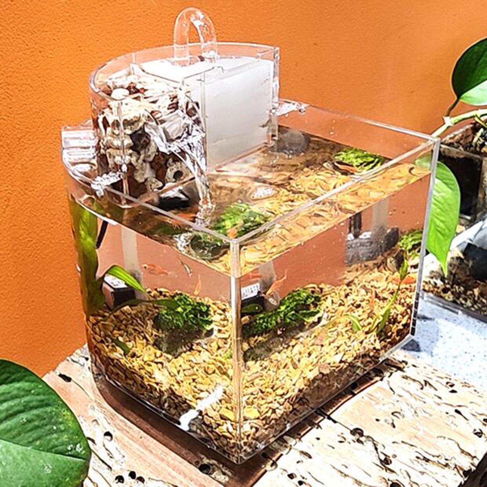Desktop Aquarium with Water Filtration Quiet Air Pump