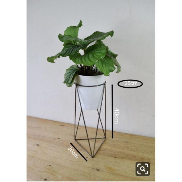 Giá đỡ kệ cây cảnh chịu lực cao , chắc chắn , nét đẹp tinh tế và đơn giản .
