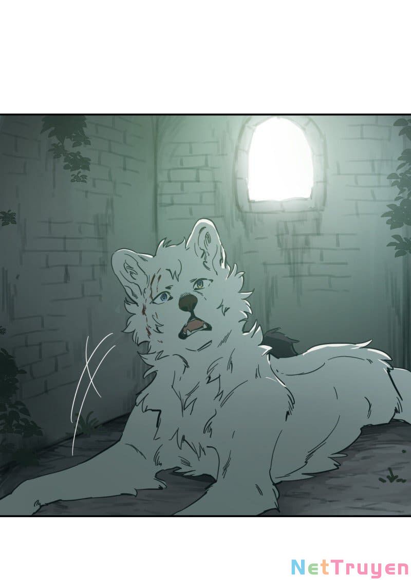 lumine - cội nguồn ánh sáng chapter 79 19