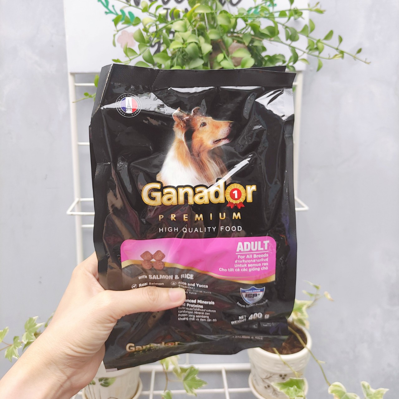 Combo 5 Gói Thức Ăn Hạt Cho Chó Lớn Ganador Adult Salmon & Rice Vị Cá Hồi Và Gạo 400g - YonaPetshop