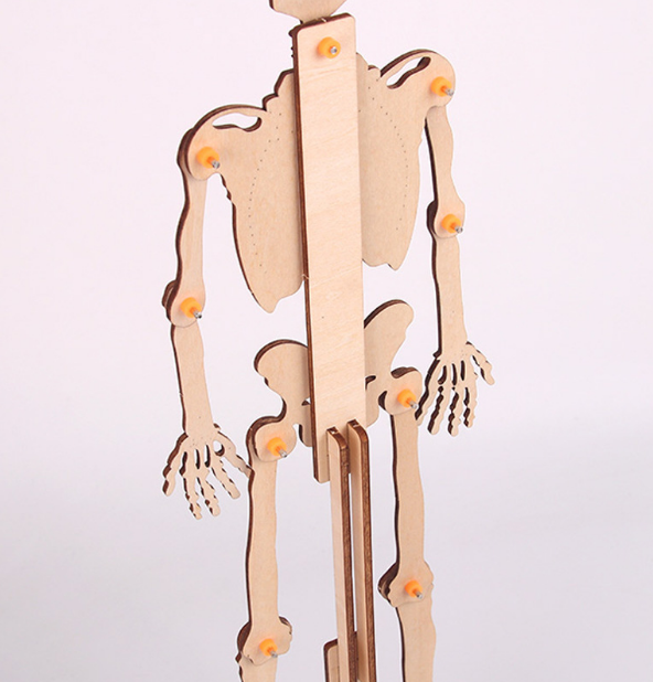 Đồ chơi khoa học Stem gỗ an toàn với trẻ,bộ đồ chơi lắp ráp giúp bé hiểu về cấu tạo hệ cơ xương