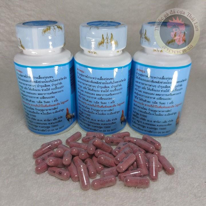 COMBO 1 LÓC / 6 LỌ - Super Five Star - dành cho gà đá - bổ gân cứng xương - mỏi lọ / 100 viên