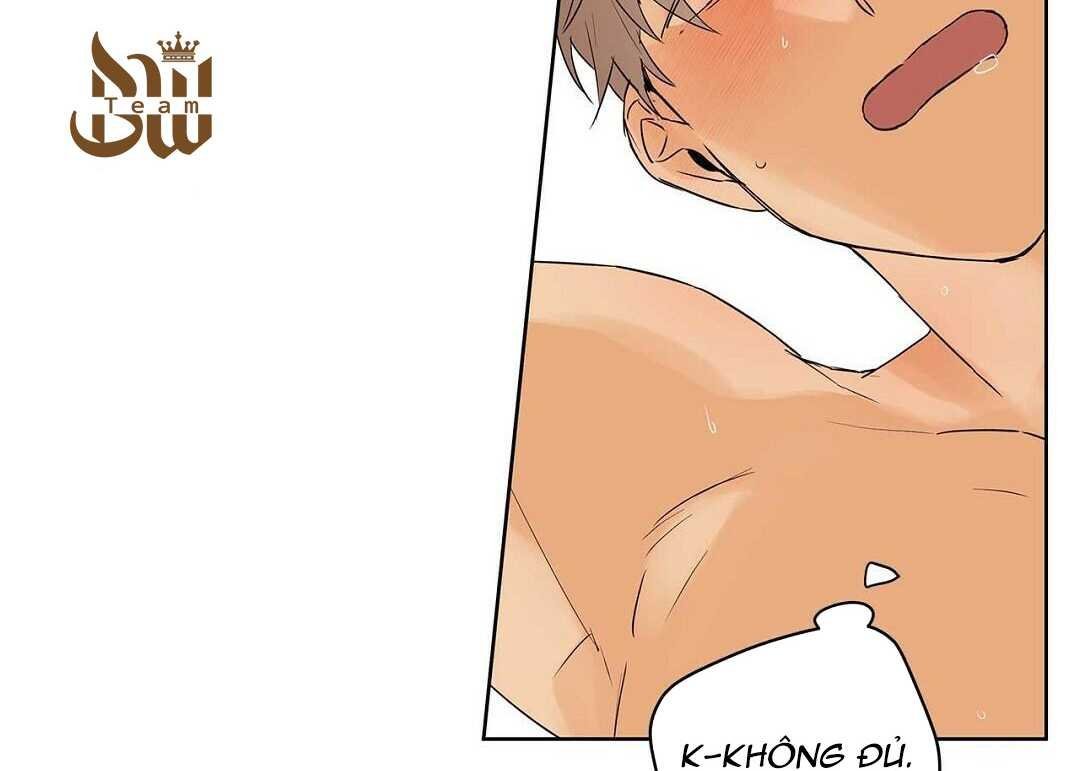 guide cấp b chapter 38 63