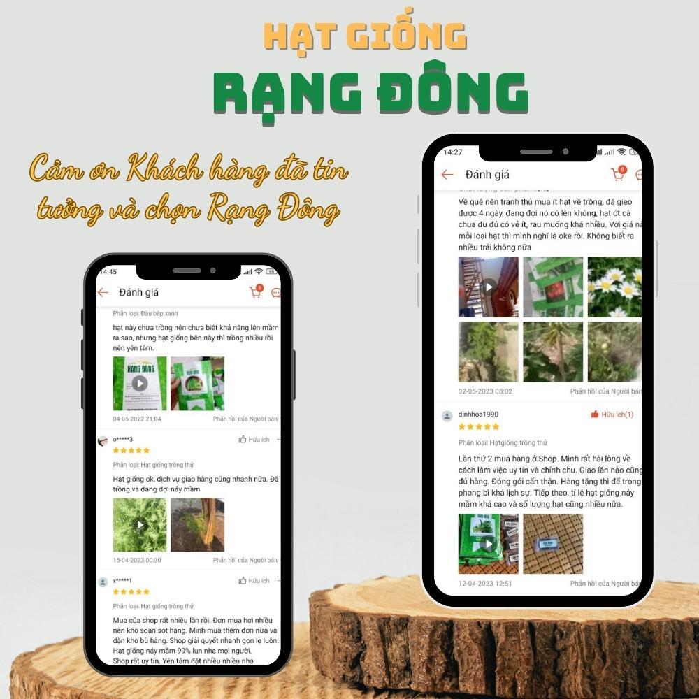 Hạt giống Hành Lá Rado 25 (2,5g~700 hạt) cây phát triển mạnh, trồng quanh năm, dễ chăm sóc - Hạt giống Rạng Đông