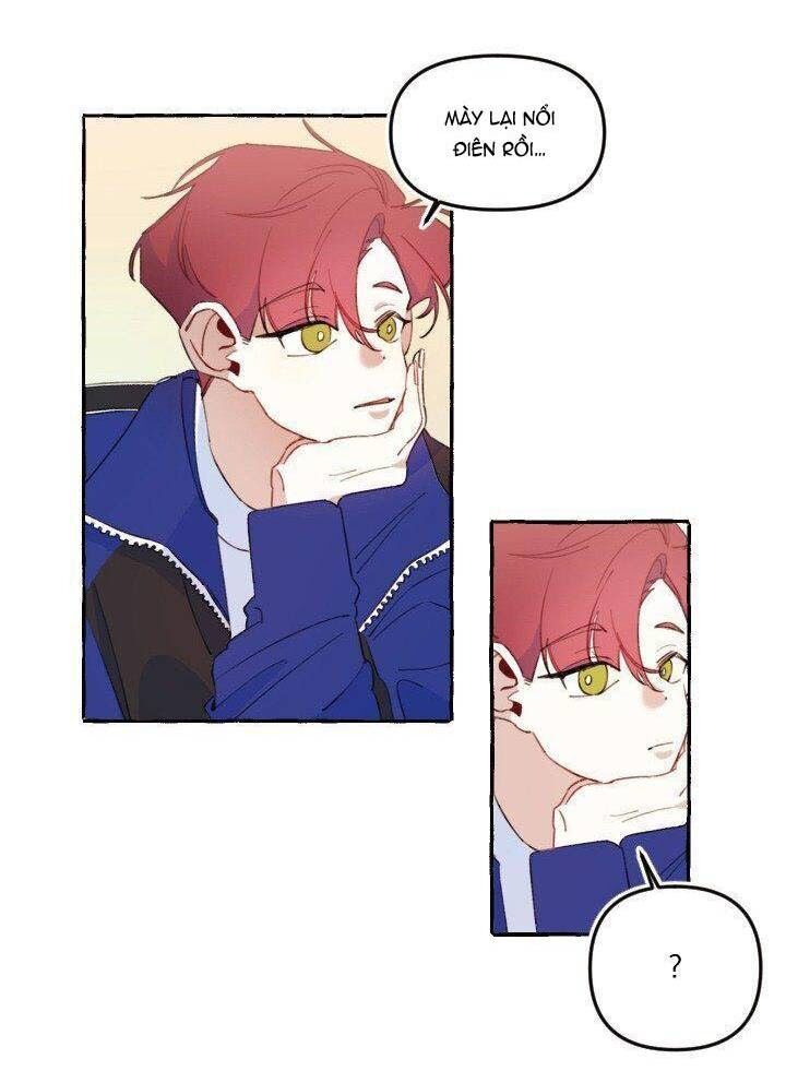 lời yêu thì cần app để dịch không? chapter 7 10