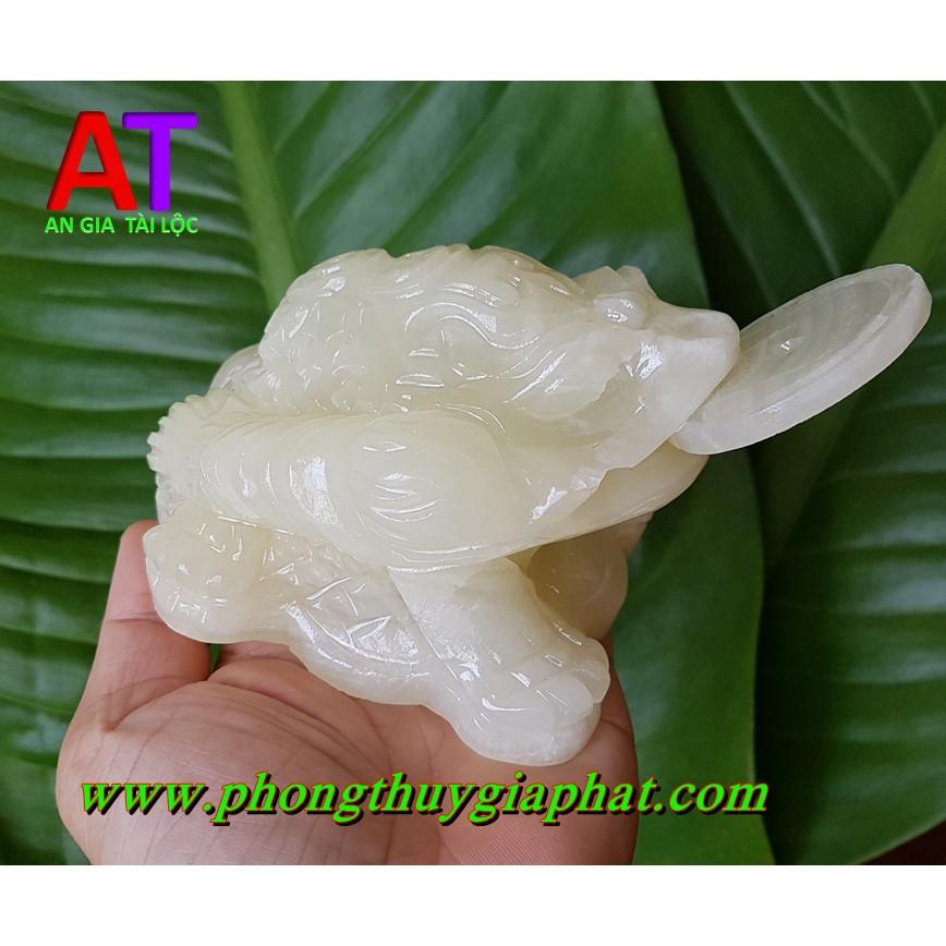 THIỀM THỪ ĐÁ NGỌC PAKISTAN