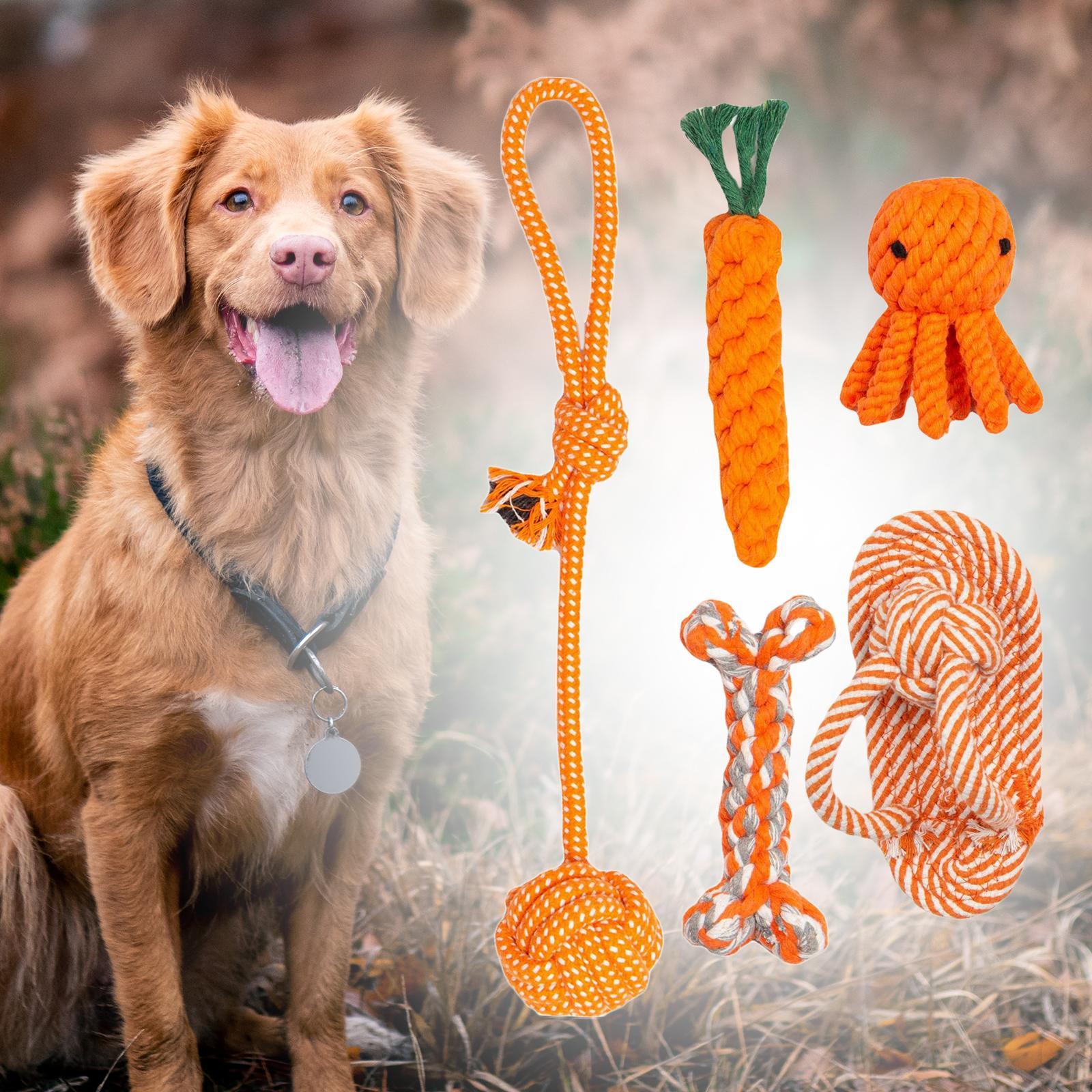 5Pcs Dog Chew Toys Puppy Chew Toys for Teething for Small Medium Large Dogs