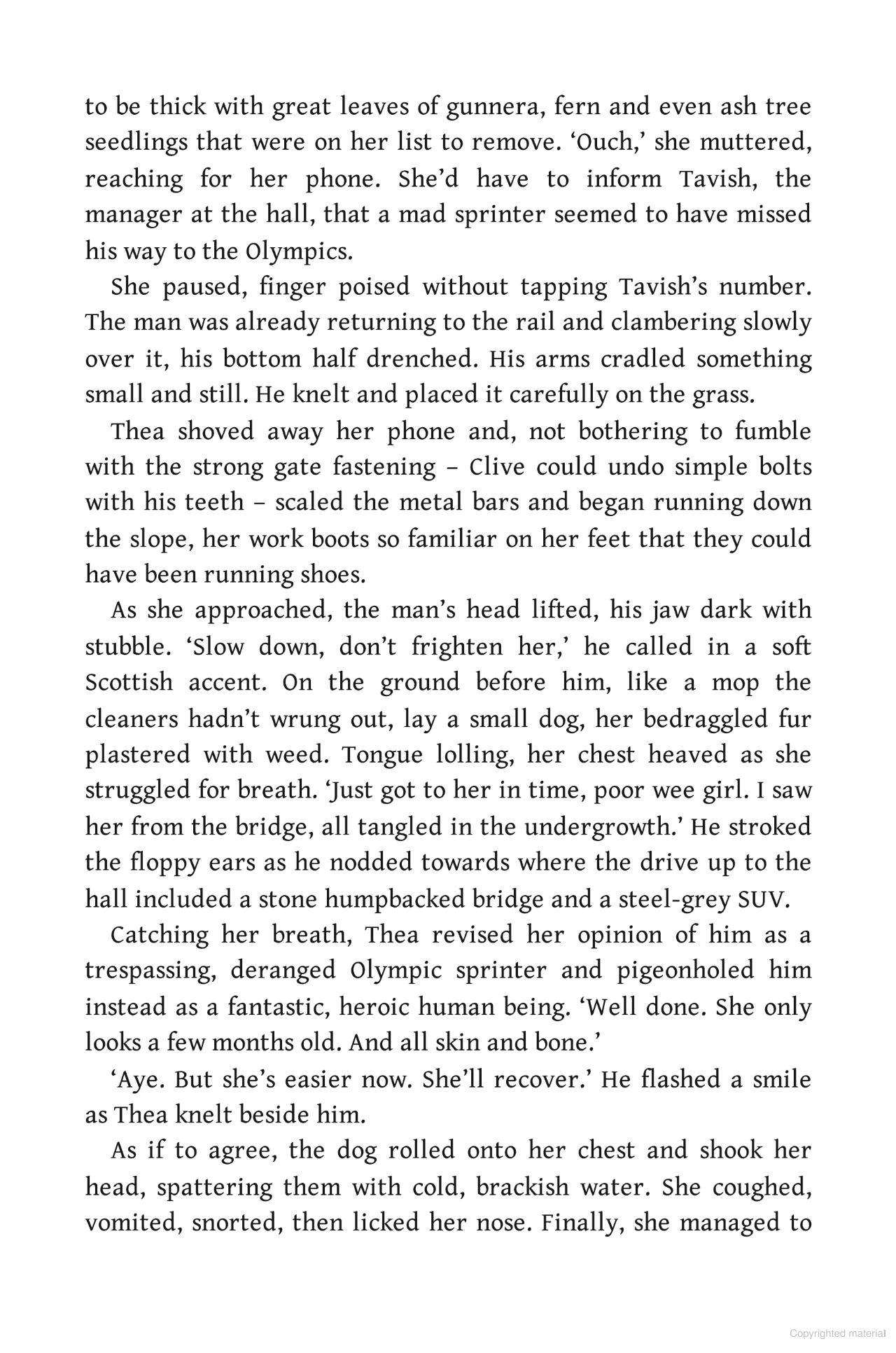 Sách ngoại văn: Under A Summer Skye