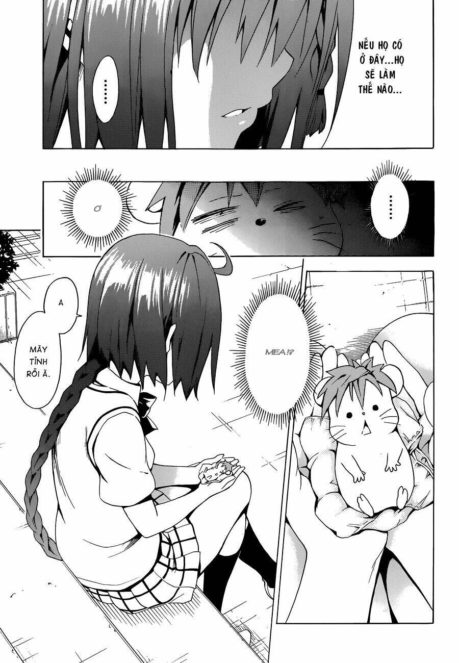 bọn tớ thích cậu! rito 2 - venus chapter 37 32