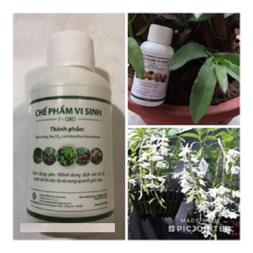 CHẾ PHẨM VI SINH P-GRO