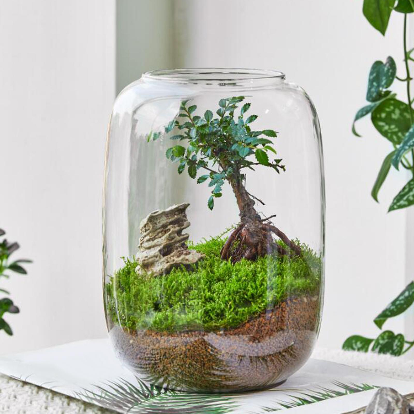 Vase Glass Glass Empty Bottle for Home Office Ornament
