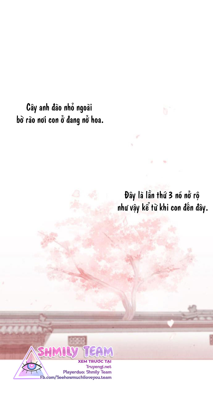 liệu rắn có ăn hoa chapter 2 18