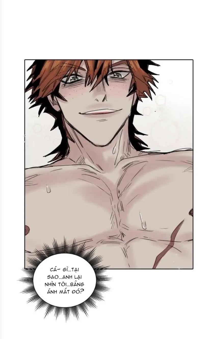 ánh nhìn của quạ chapter 24 17