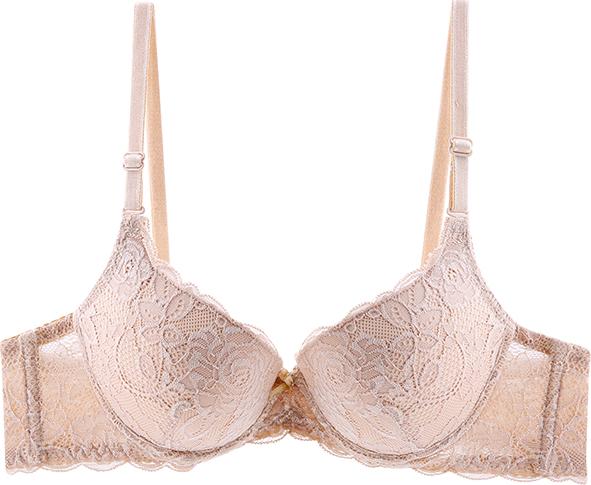Áo Ngực Cao Cấp Mignon Ren An 057