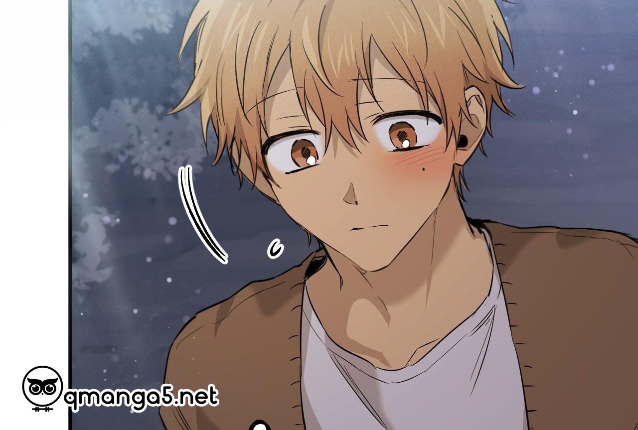 những chú thỏ của hapypy chapter 61 198