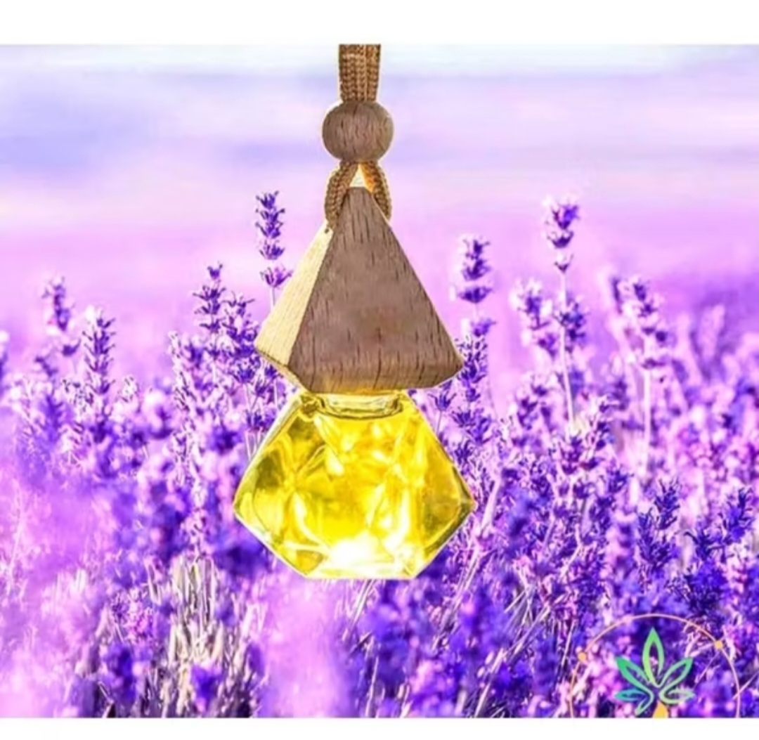 1 LỌ NƯỚC HOA KHỬ MÙI DIỆT KHUẨN LÀM THƠM XE HƠI ÔTÔ CAO CẤP