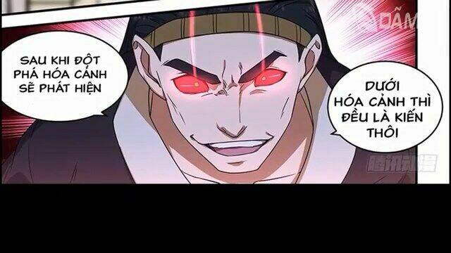 đào hoa bảo điển chapter 206 5