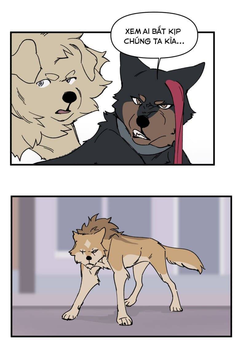 lumine - cội nguồn ánh sáng chapter 152 22