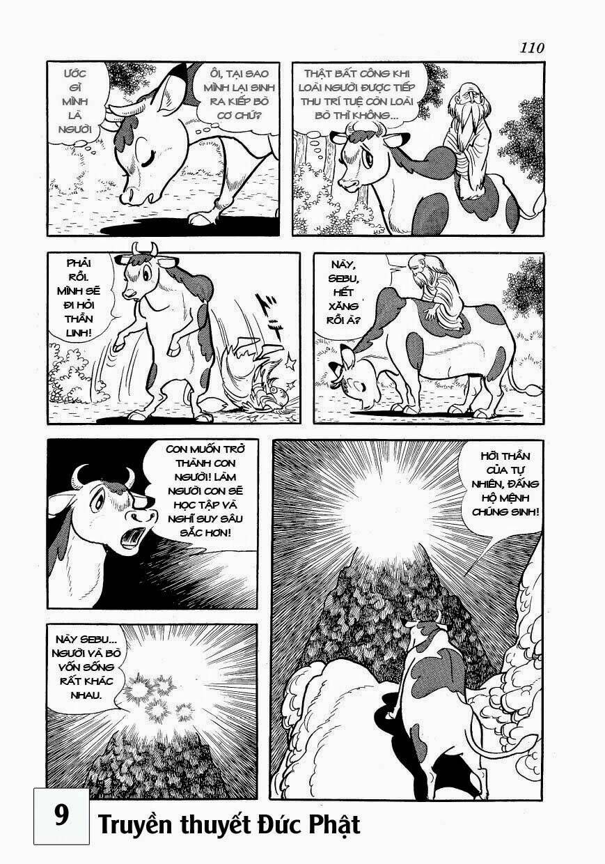 buddha - truyền thuyết đức phật chapter 41 12