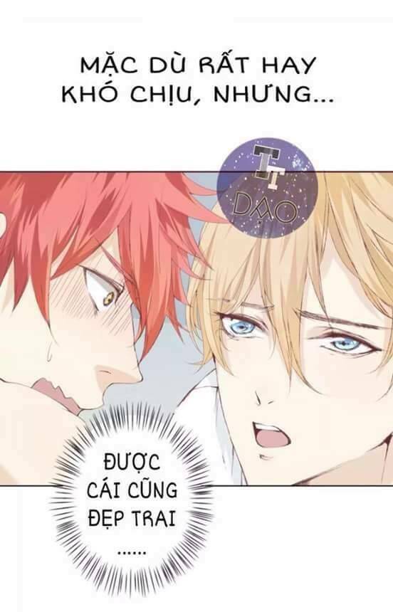 tôi không phải đa nhân cách chapter 1 15