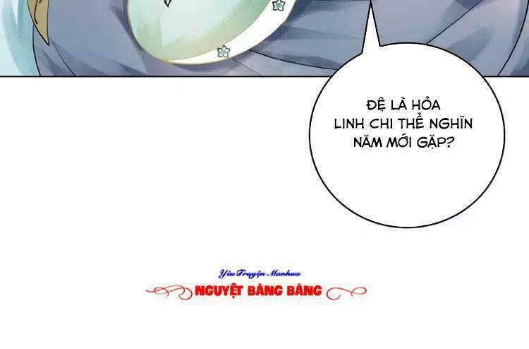 cực phẩm phế vật tiểu thư chapter 16 13