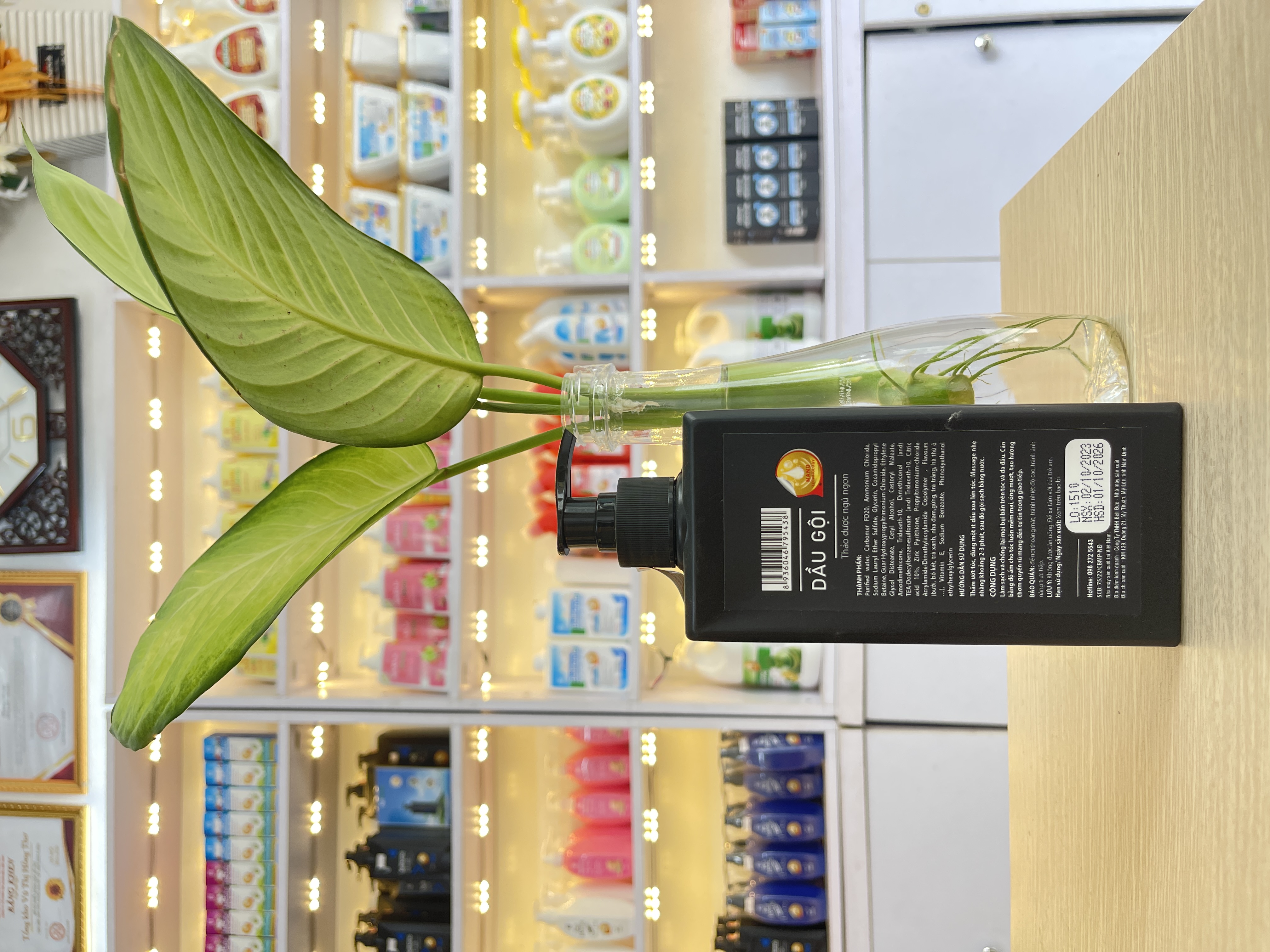 Dầu Gội Nam Công Nghệ Sinh Học Bell Home 300ML - 800ML