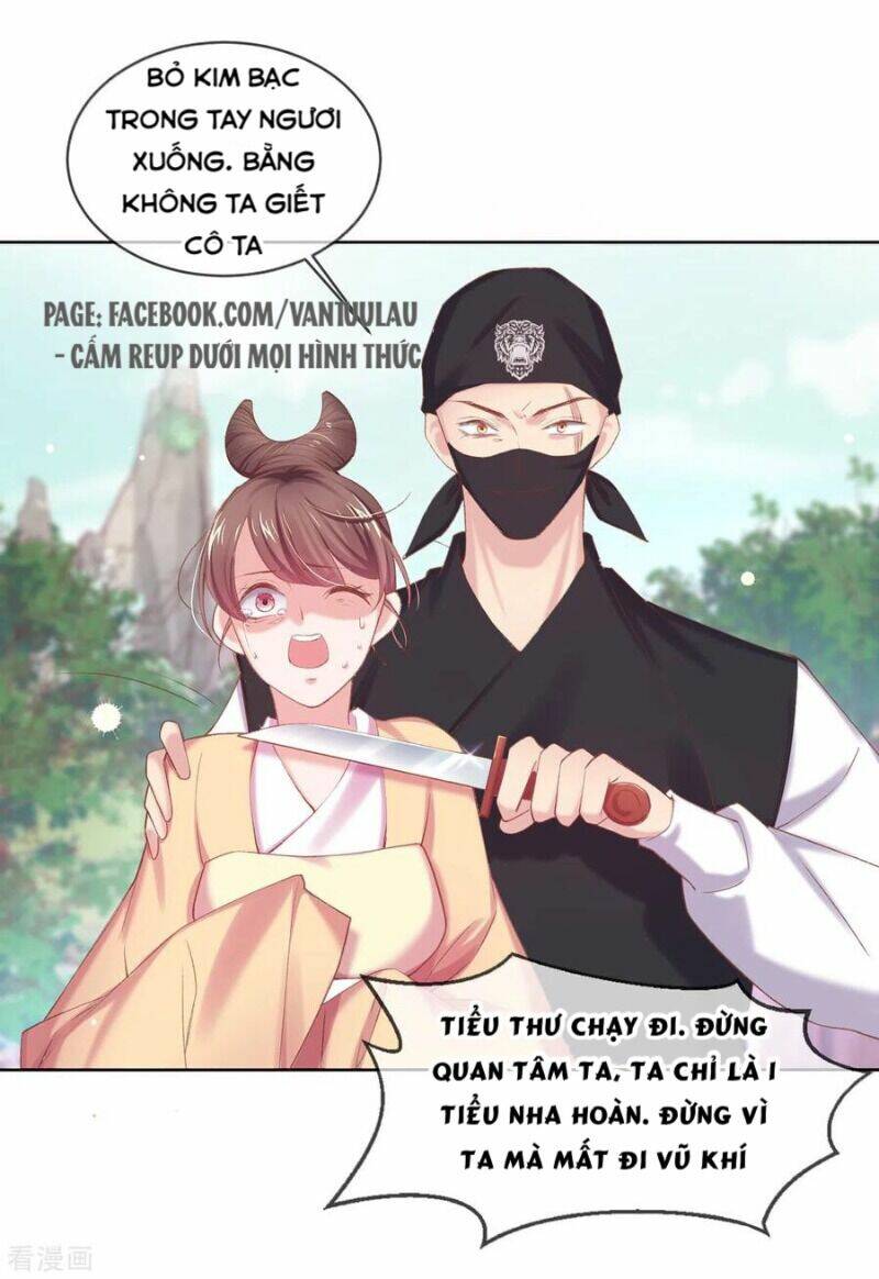 thị huyết y phi chapter 71 1