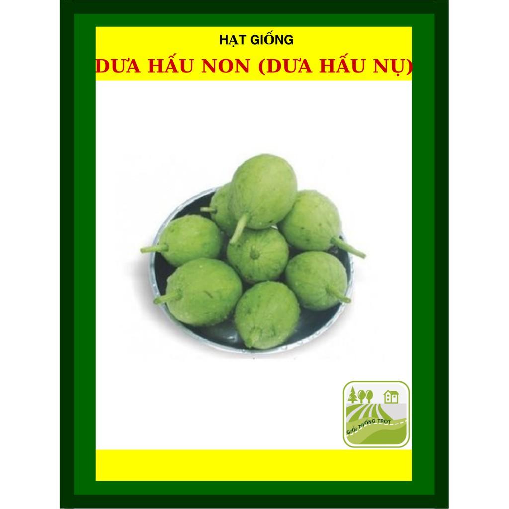 Hạt Giống Dưa Hấu Ăn Non Dưa Hấu Nụ 0.5 Gram