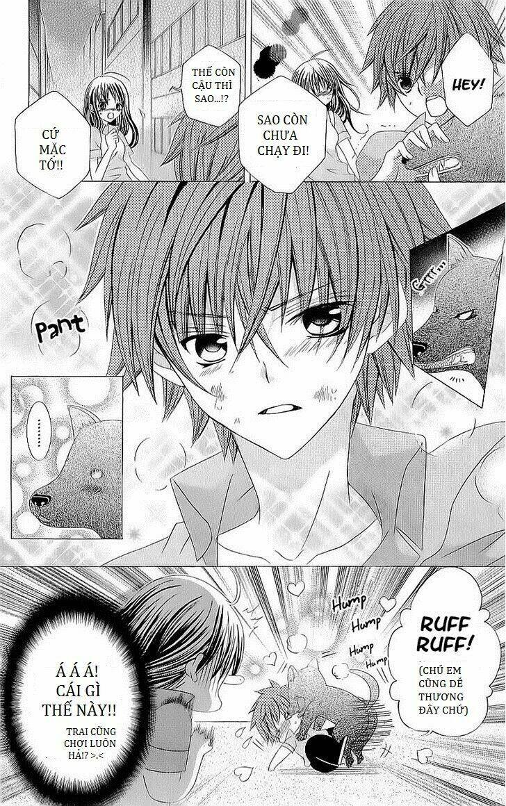 suki desu suzuki-kun!! chapter 42 15