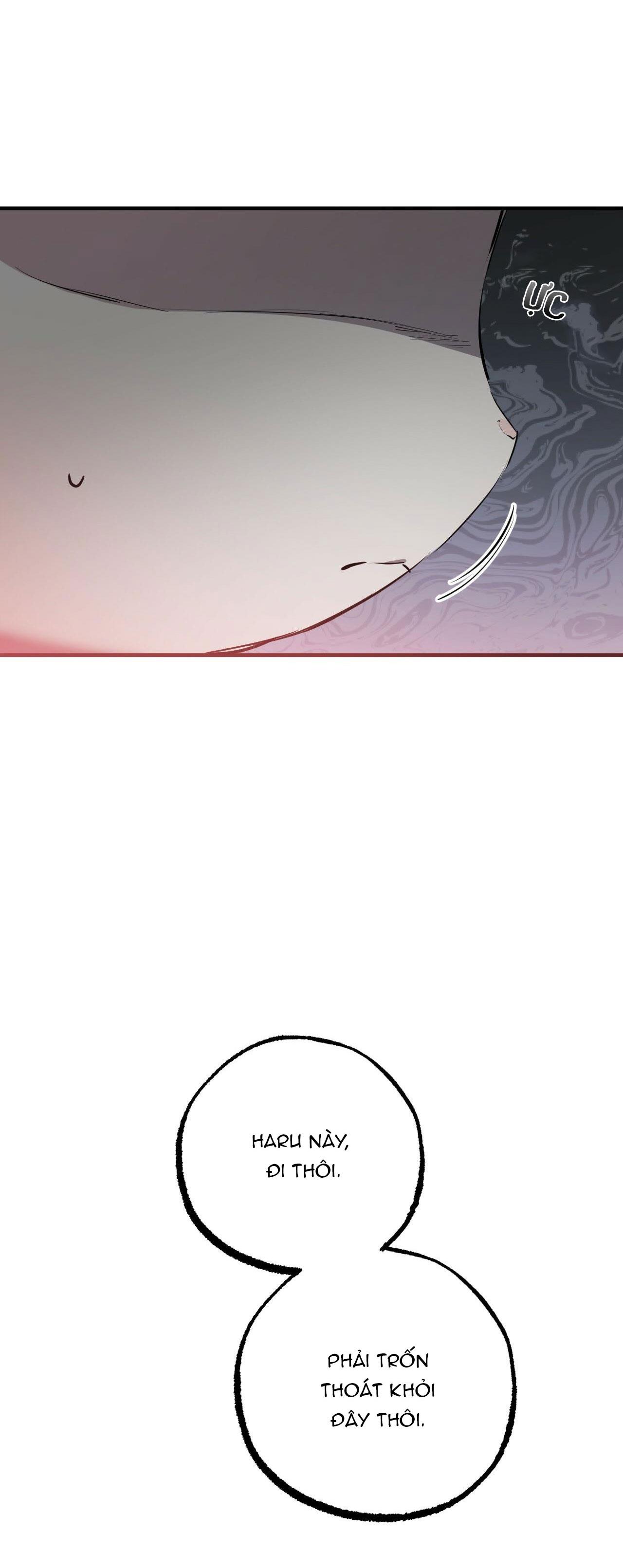 những chú thỏ của hapypy chapter 36 21