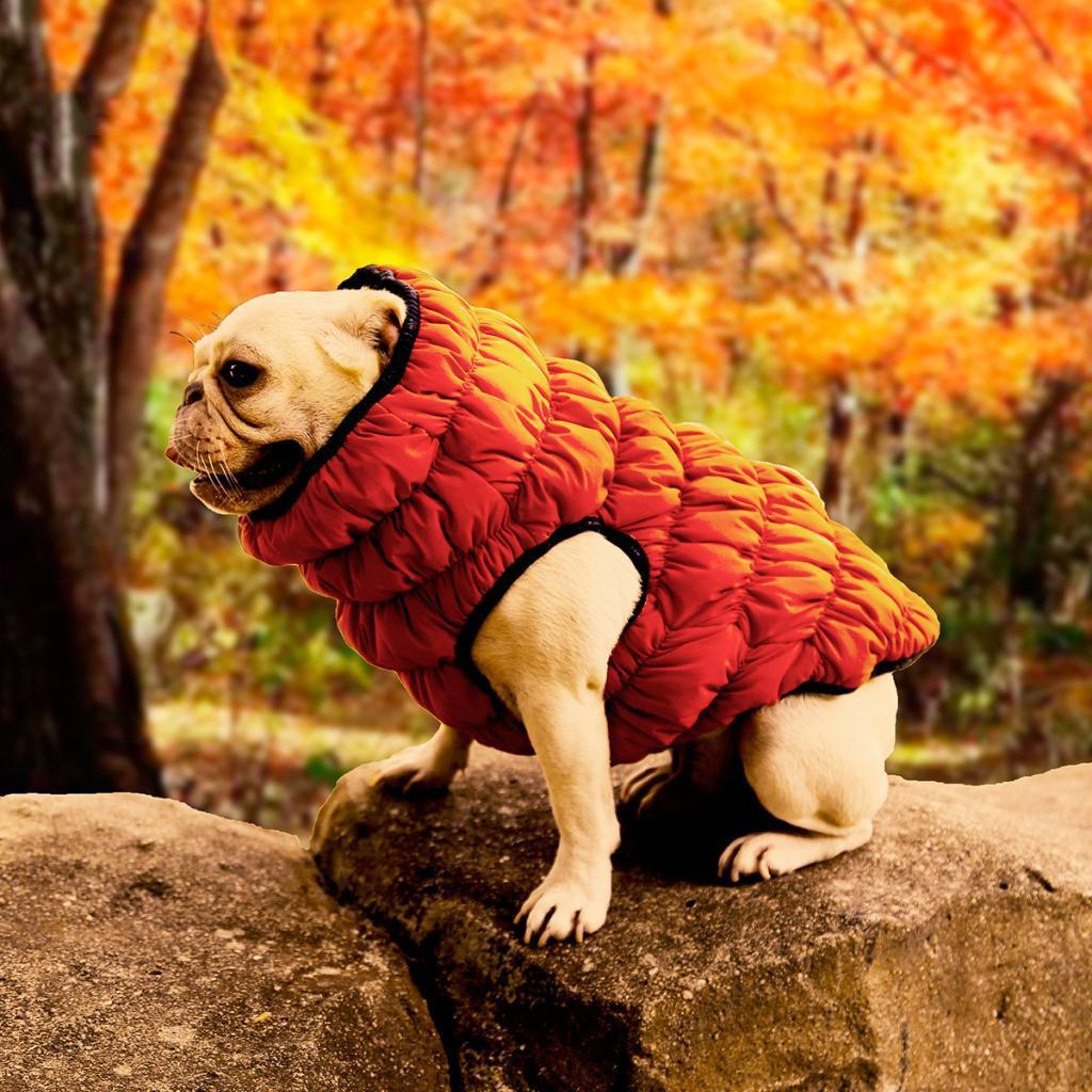 Cute Design Pet Dog Puppy Winter Warm Coat Pet Comfort Jacket