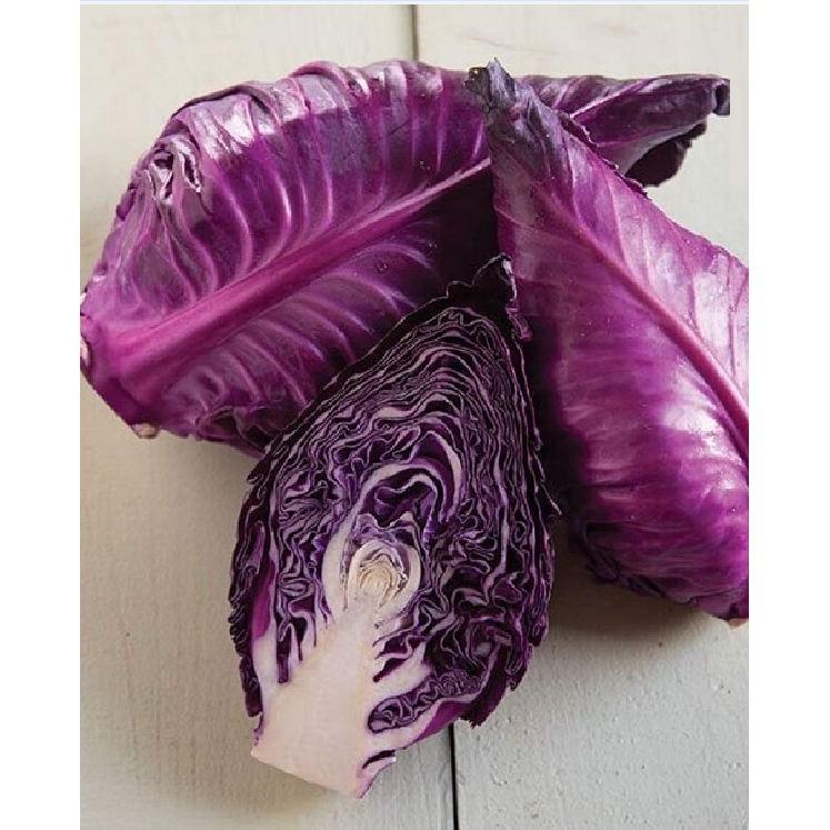Hạt giống Bắp cải trái tim Tím F1 - 0,1gram/gói