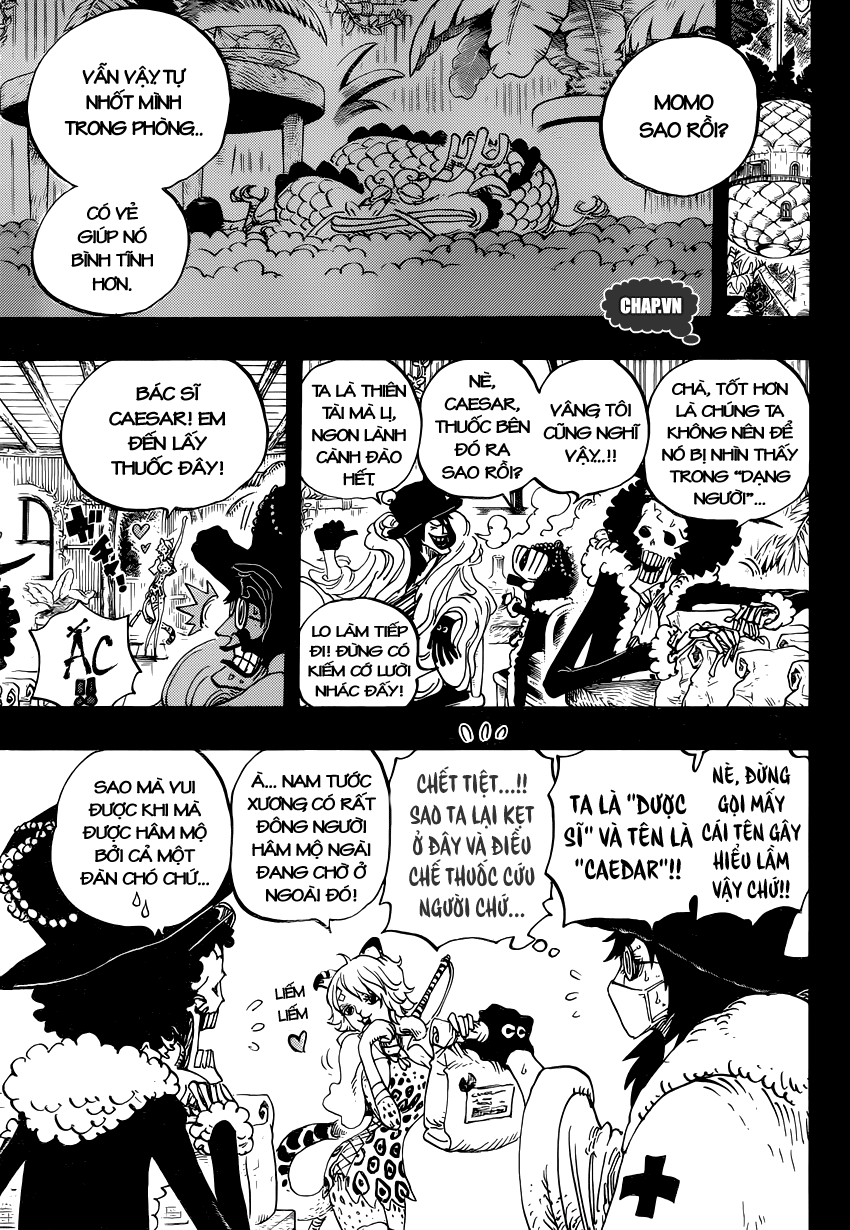 One Piece Chapter 812 - Trang 5