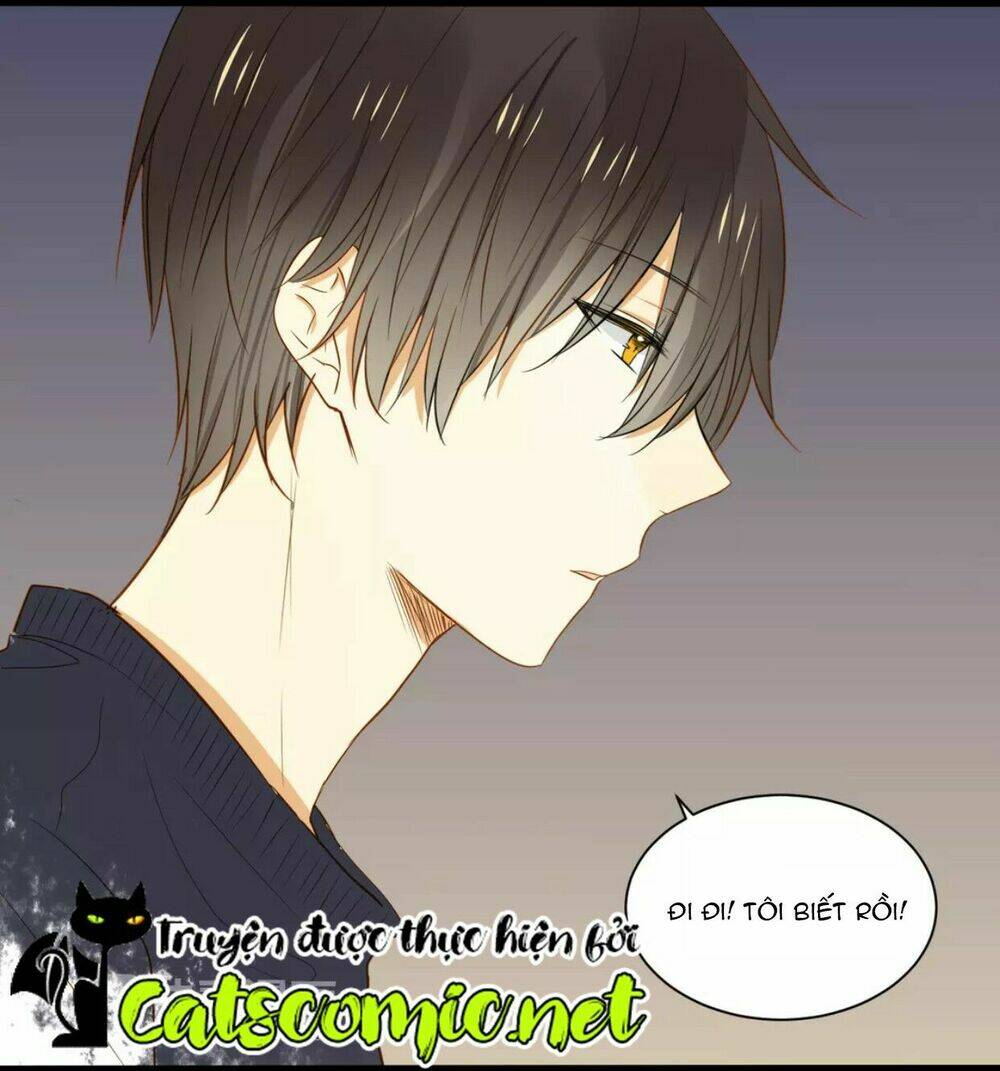 điều giáo quan hệ chapter 15 33