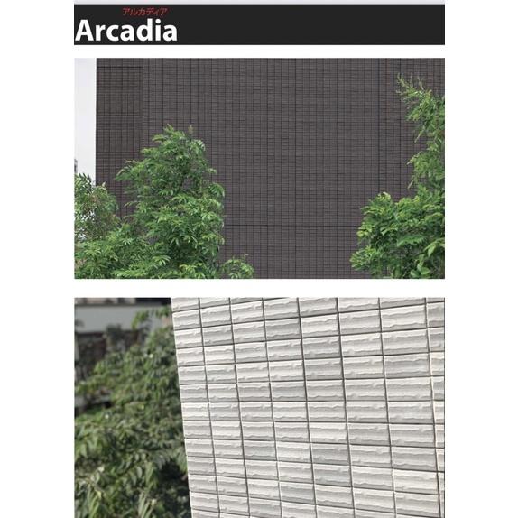 Gạch Nhật Bản Arcadia AR - AR-02101 TRẮNG