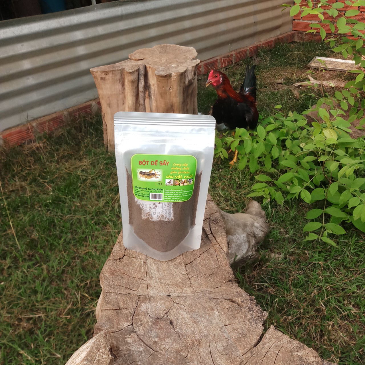 Bột Dế, Bột Dế Sấy - Bổ Sung Dinh Dưỡng Giàu Protein Cho Chim, Cá, Gà, ...