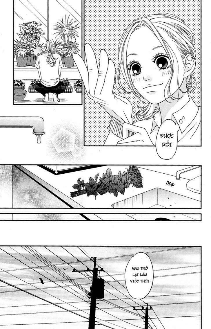 đóa hoa năm ấy chapter 1 28