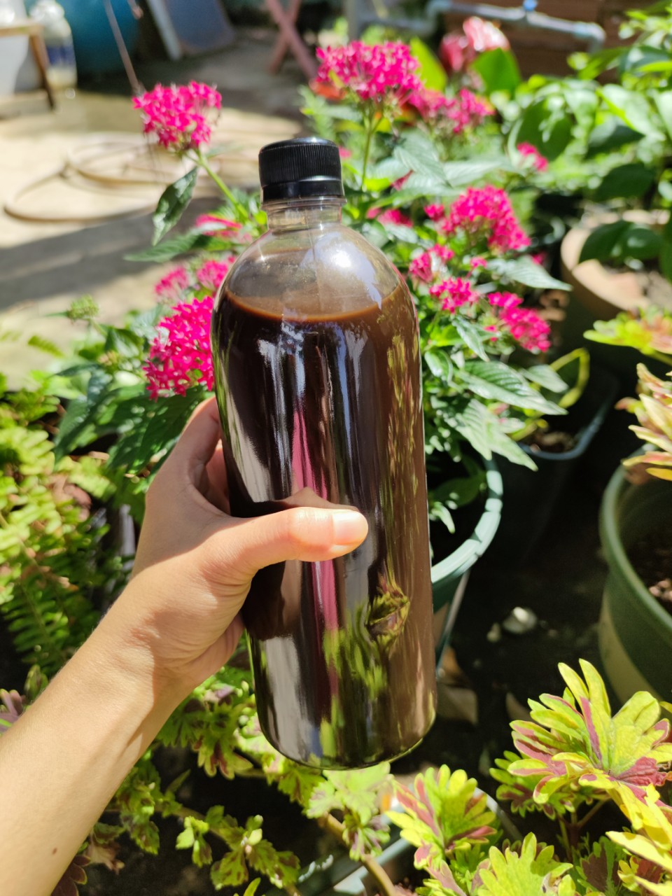Chai 500ml - Phân bón cao cấp cho hoa hồng