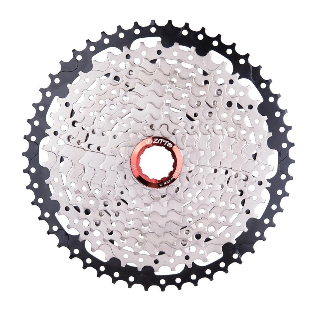 10  Steel  Mountain Road Bike  Freewheel 11-50T Fixed Gear