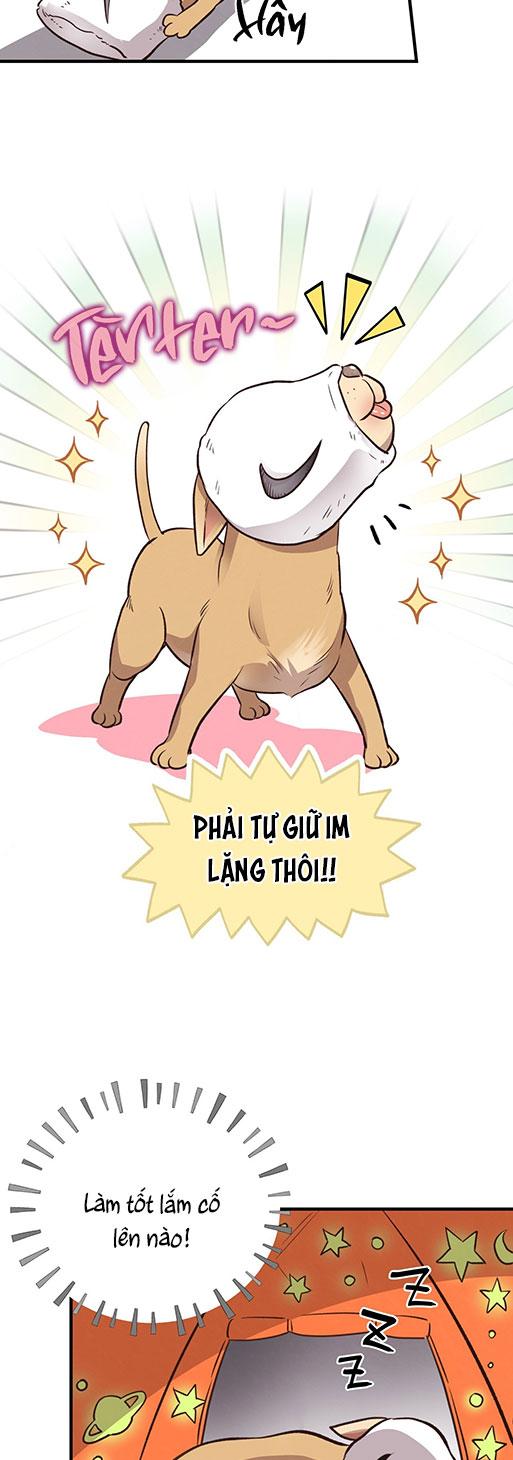 mật gấu chapter 26 71