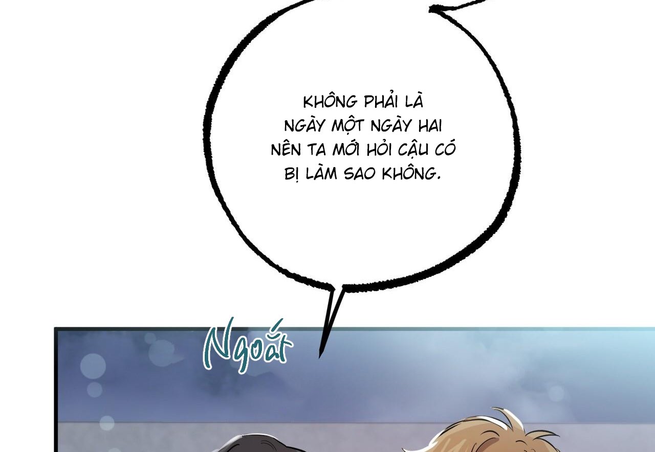 những chú thỏ của hapypy chapter 60 113