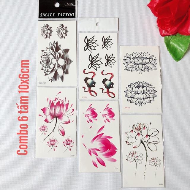 Combo 6 tấm hoa sen đủ loại 10x6cm