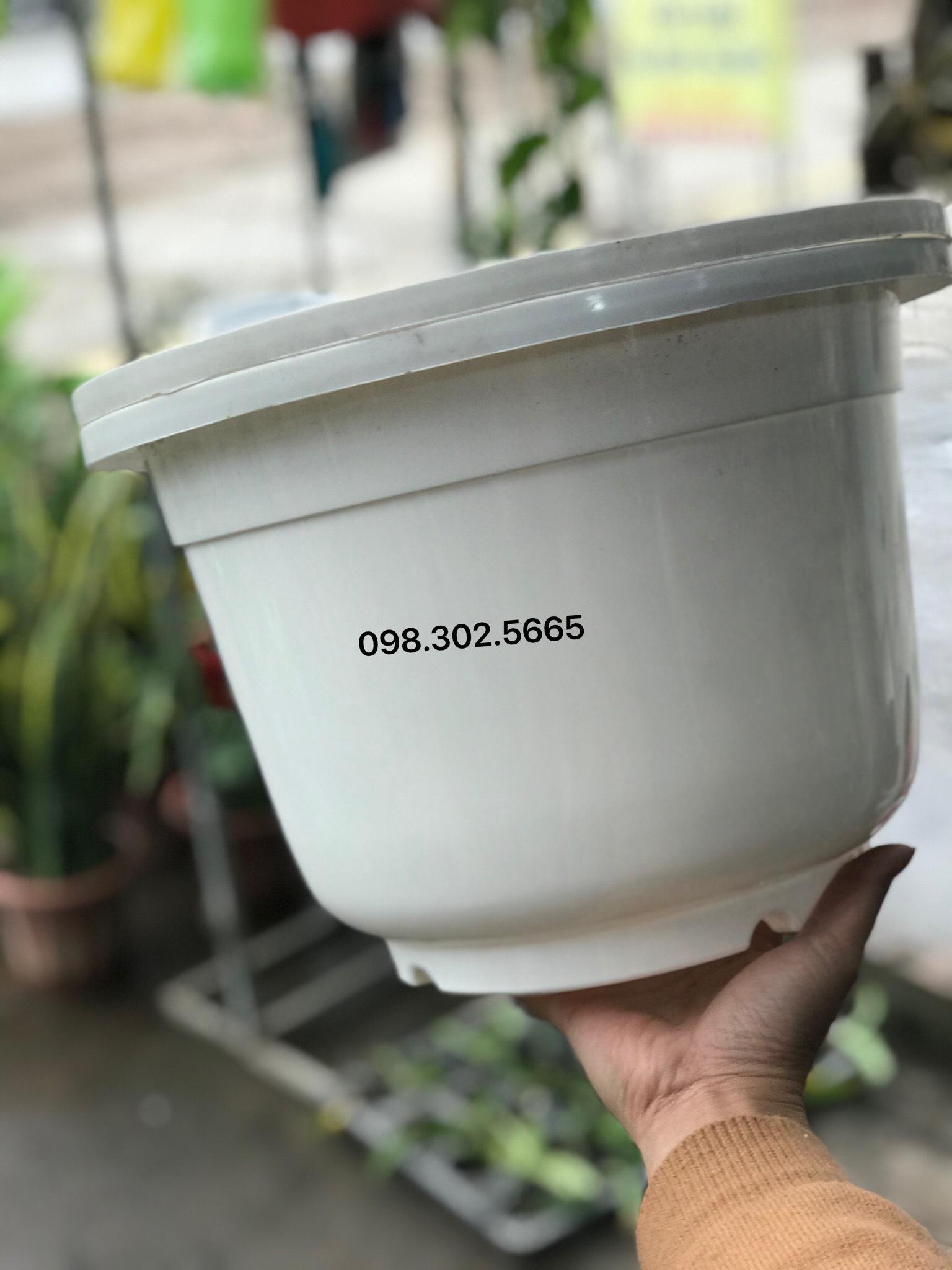 Bộ 5 chậu nhựa trắng trơn trồng hoa, cây cảnh 360x350 loại 1- kích thước 30x20cm